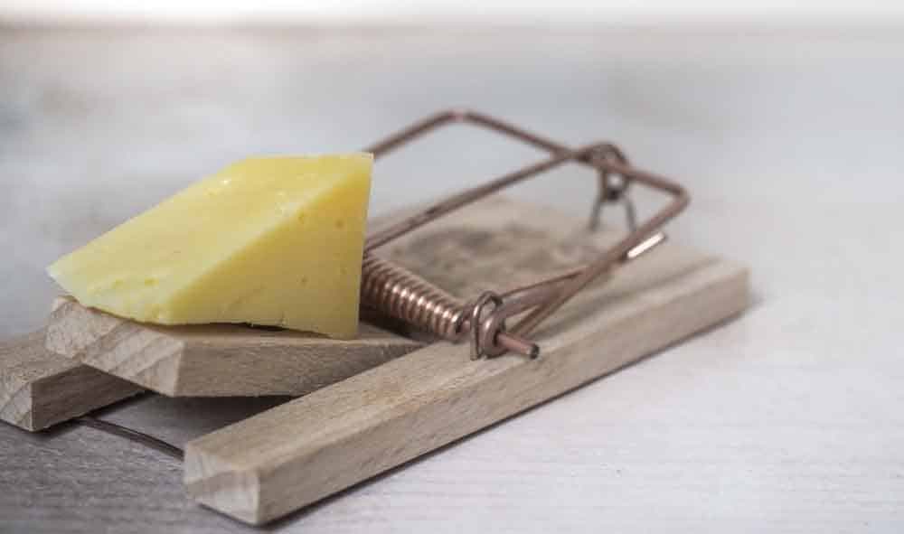 The Rattrap Summary Class 12th English