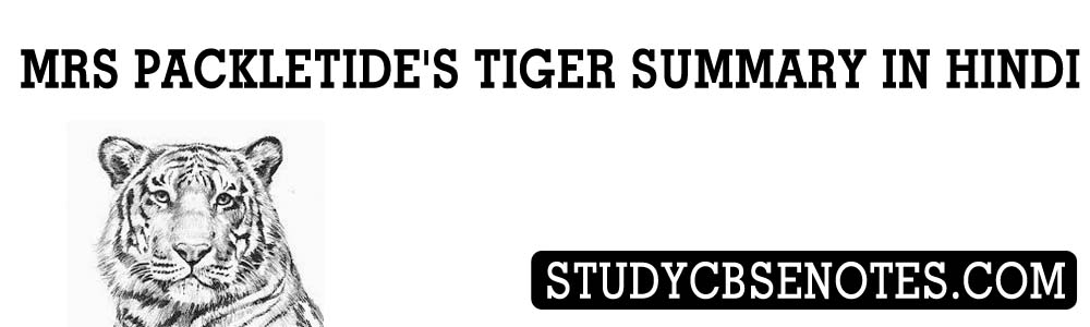 mrs packletide's tiger summary in hindi